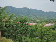 -吉姆冒险世界(蓟州店)