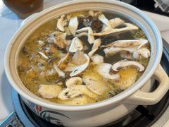 -蘑统田下·野生菌火锅