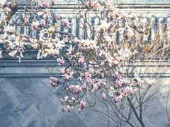 -北京颐和宾馆