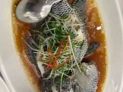 -骏莱海鲜鱼港(五角场店)