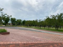 -上海山野camping·户外天幕烧烤·团建拓展营地