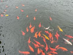 -鄱阳湖国家湿地公园