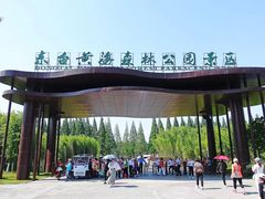 -黄海国家森林公园