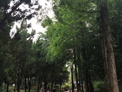 -西苑公园