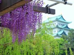 -名古屋城