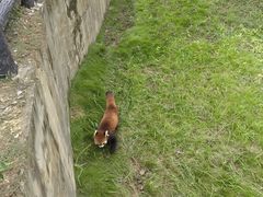 -大青山野生动物园