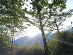 -罗田天堂寨风景区