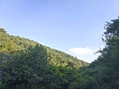 -东莞市大岭山森林公园