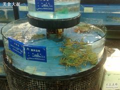 鱼缸-海中洲渔社