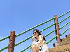 -广东惠东海龟国家级自然保护区
