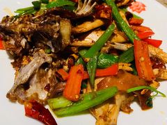 手撕鸡-四姐妹东北饺子(沙尾路店)