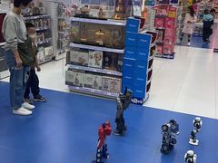 -TOYSRUS玩具反斗城(大连恒隆广场店)
