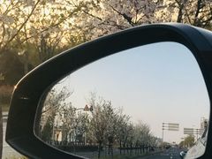 -柳州肥姨妈大骨螺蛳粉(老闵行店)