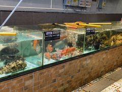 -九號渔港·蒸汽海鲜·粤菜茶点(八卦岭店)