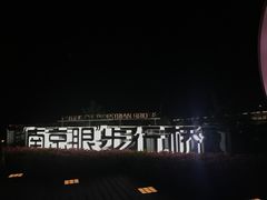 -南京眼步行桥