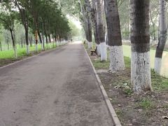 -东郊湿地公园