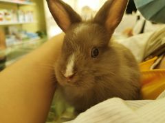 -龙猫仔乐园(惠福东路店)