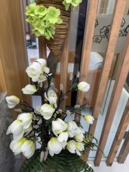 -芳朵美容养生SPA