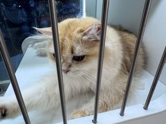 -万达广场(扬州邗江店)