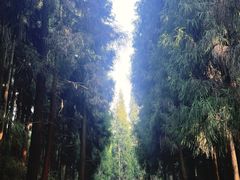 -太阳湾风景区