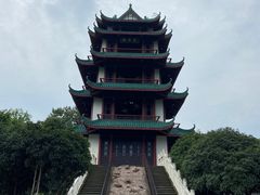-桂湖森林公园