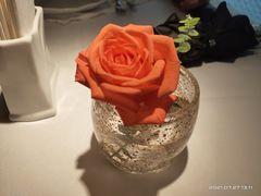 -佐度王子扒房(爱建卓展店)