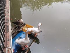-润记农家菜