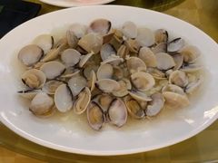 蒜蓉粉丝莁白贝-龙宝轩(坦洲店)