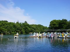 -井之头恩赐公园