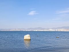 -洱海月湿地公园