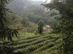 -藏龙百瀑风景区