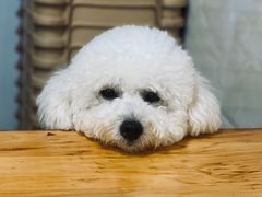 -人和水上飘(第一家店)