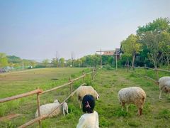 -梁子湖东篱老屋生态庄园
