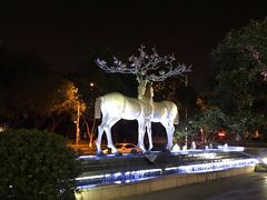 -鹭江潮餐厅•福建菜(鹭江佲家酒店)