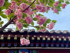 -荣国府