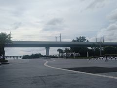 -宝安西湾红树林湿地公园