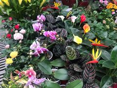 -秦美花卉(天朗·莱茵小城2期店)