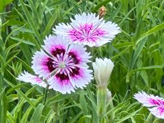 -望京楼flavor餐厅(古北水镇景区店)