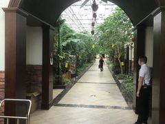 -天宫南铂玫瑰园酒店