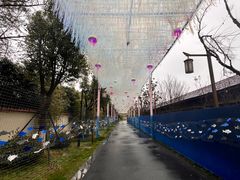-嘉兴清池酒店温泉
