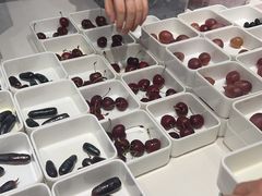 -悠然湯·汗蒸汤泉会馆