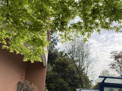 -四川大学(望江校区)