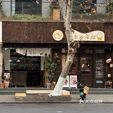 成都！！i人友好茶泡饭！超温馨！！！