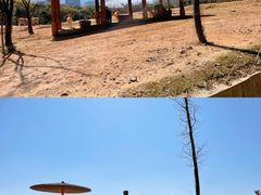 -杭州野生动物世界