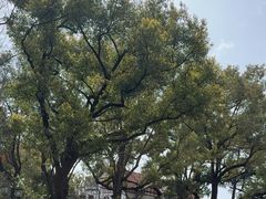 -申粤轩酒楼·三十年粤菜经典(丁香花园店)
