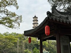 -江心屿景区