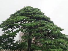 -黄山风景区