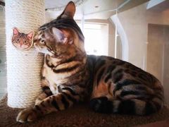 -Me Coffee下午茶艺术空间