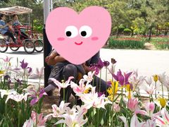 -石家庄市植物园