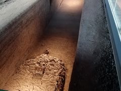 -鸿山遗址博物馆